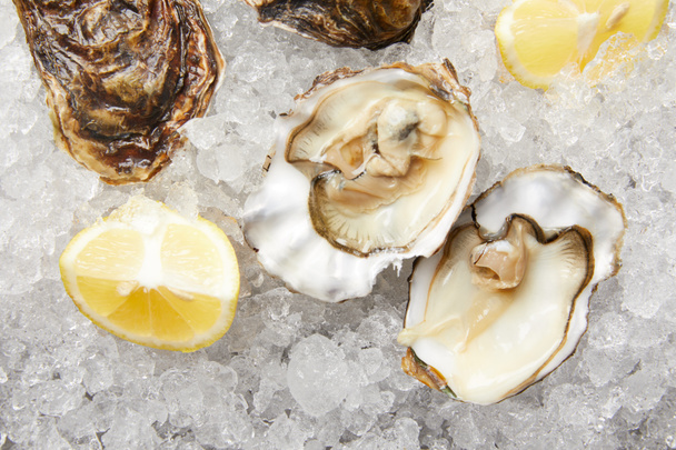 Fresh oysters and lemon slices on ice - Foto, imagen