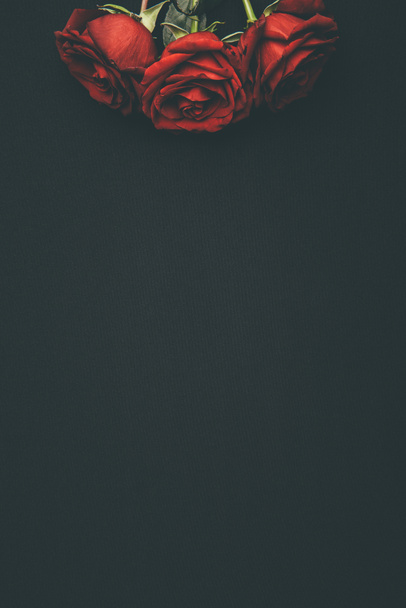 Аромат цветущих красных роз, изолированных на черном
 - Фото, изображение