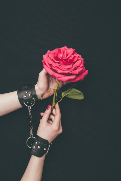 Female hands in leather handcuffs holding rose flower isolated on black - Fotografie, Obrázek