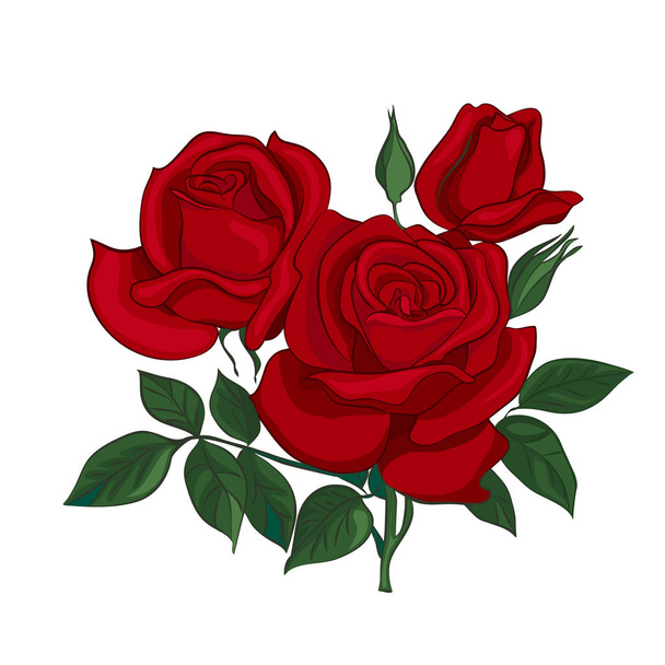 bouquet of red roses - Vetor, Imagem