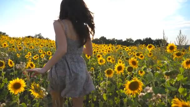 美しい少女は、背景に太陽フレアと黄色のひまわり畑で実行しています。幸せな若い女草原でジョギング、自由を楽しんでいるに従ってください。夏のコンセプトです。スローモーション - 映像、動画