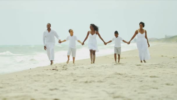 Felice estate di famiglia etnica passeggiando insieme dall'oceano
 - Filmati, video