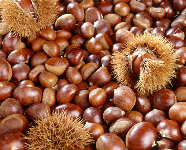 A background of sweet chestnuts - Photo, Image