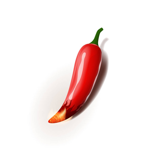 Realistic vector illustration of chili pepper is on fire. Isolated on white background. - Vetor, Imagem