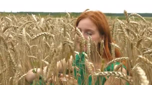 Walk on the wheat field.Slow motion. A lovely red-haired girl is sitting in a field of ripe wheat.She smiles. The camera moves from right to left. - Footage, Video