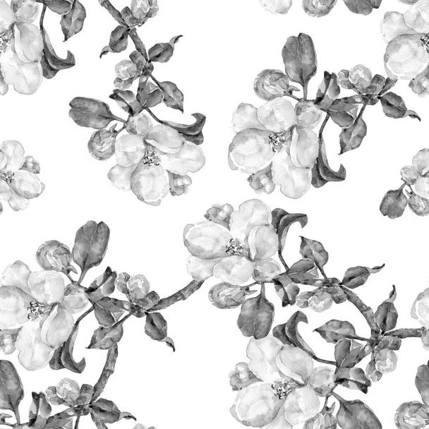 Monochrome motif sans couture branche fleurs pomme. Fond blanc
. - Photo, image