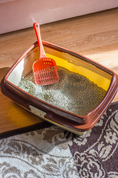 Pala de plástico en una caja de arena para gatos, de pie en el suelo
 - Foto, imagen