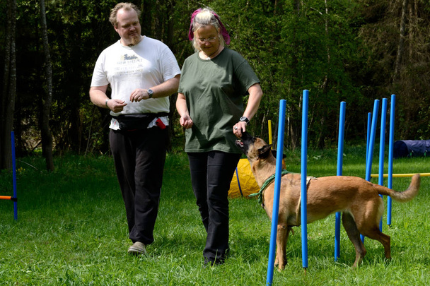 Власники собак тренують собаку
 - Фото, зображення