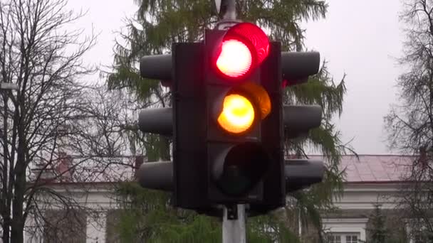 stoplight in city street - Footage, Video