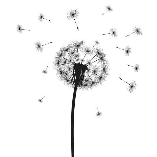 Silhouette of a dandelion - Vector, Image