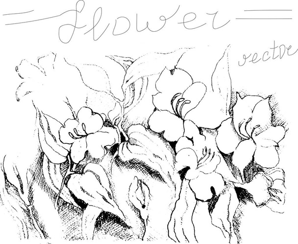 zwart-witte bloemen - Vector, afbeelding