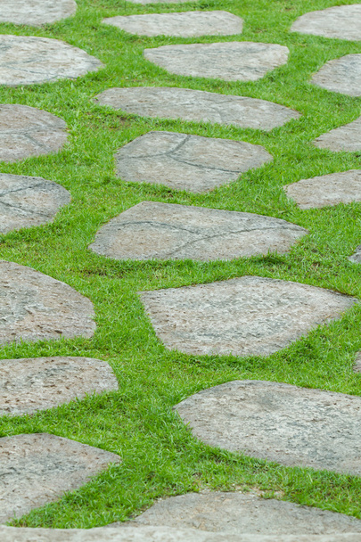 Grass and stone walkway - Photo, Image