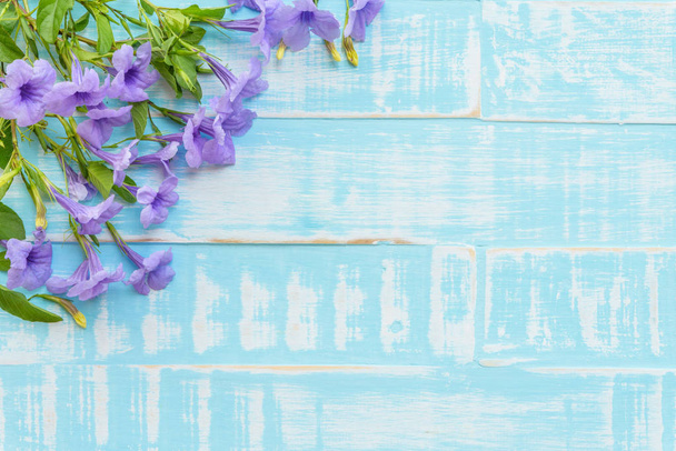 Фіолетові квіти на пастельних яскраві синьому тлі дерев'яні.  - Фото, зображення