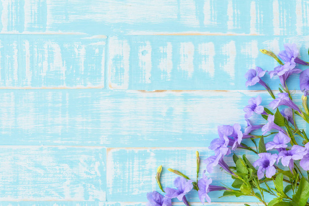 Purple Flowers on a pastel bright blue wooden background.  - Photo, Image