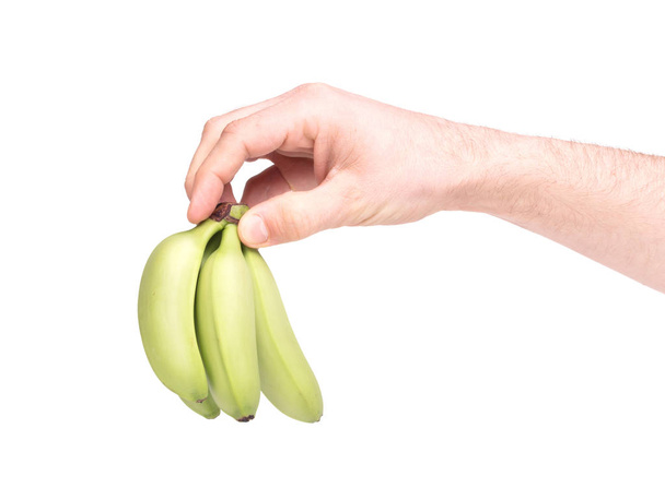 Kis trópusi banánt fürt - Fotó, kép