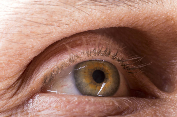 Picture of the right eye of a mature man, close-up - Photo, image