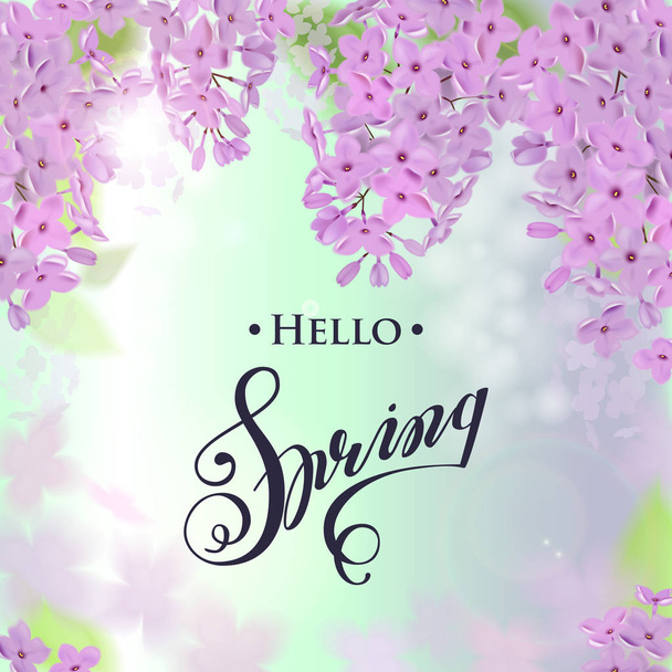 Vector hello spring banner with lettering, lilac flowers. - Vetor, Imagem