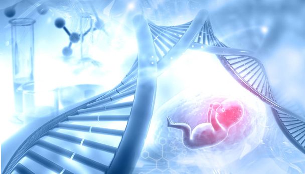 Fetale con DNA su sfondo astratto. Illustrazione 3d
 - Foto, immagini
