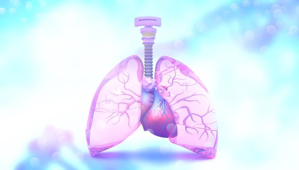 İnsan akciğer. 3D çizim - Fotoğraf, Görsel