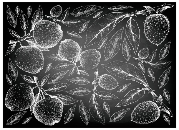 Hand Drawn Apple and Diospyros Rhombifolia Fruits on Chalkboard - Photo, Image
