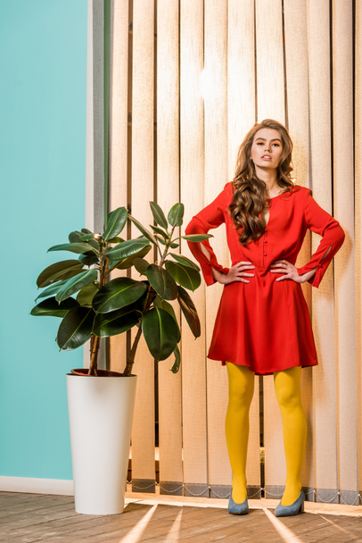 retro styled woman standing at ficus plant in flowerpot at colorful apartment, doll house concept - Valokuva, kuva