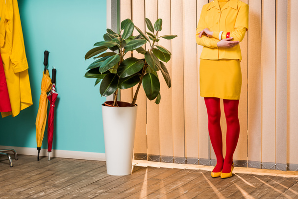 részleges kilátás nyílik a retro stílusú asszony állt ficus növény virágcserép színes apartman, baba house koncepció - Fotó, kép