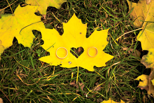 pair wedding rings on yellow leaf in green grass - Φωτογραφία, εικόνα