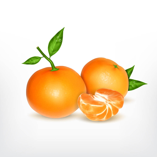 Mandarina madura con rebanada
 - Vector, Imagen