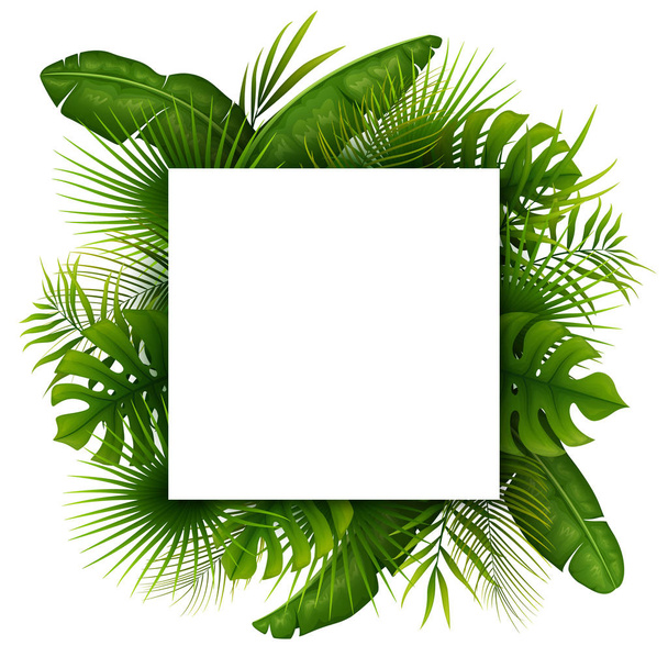 Tropical green leaves with white square frame place for text isolated on white background - Wektor, obraz