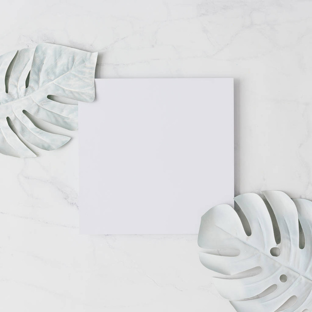 feuilles tropicales créatives isolées sur fond blanc, concept estival minimal
 - Photo, image