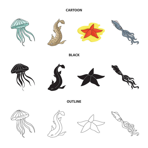 Jellyfish, squid and other species.Sea animals set collection icons in cartoon,black,outline style vector symbol stock illustration web. - Vector, Image