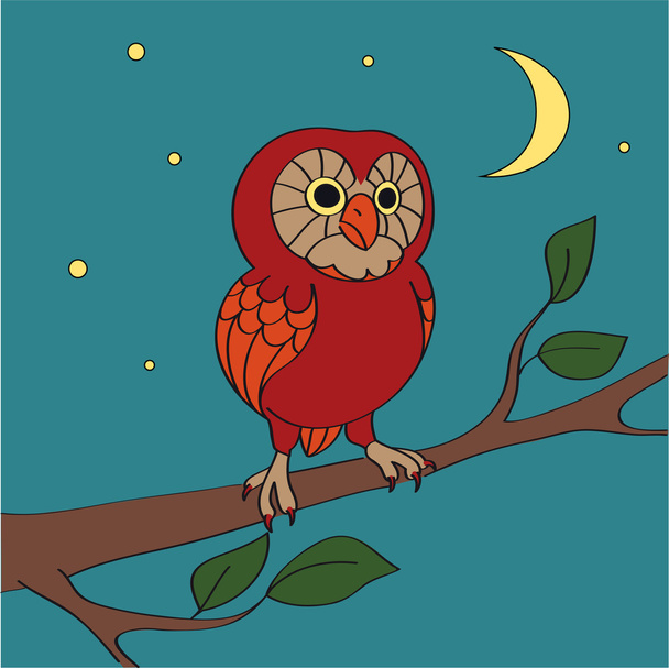 A vector cartoon night owl - vector illustration - Vector, Image