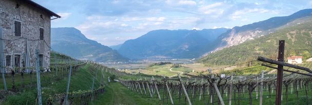 rovereto  and vallagarina valley - Photo, Image