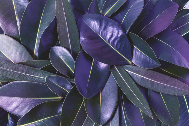 Creative layout made of purple leaves. Flat lay. Ultra violet concept. - Фото, зображення