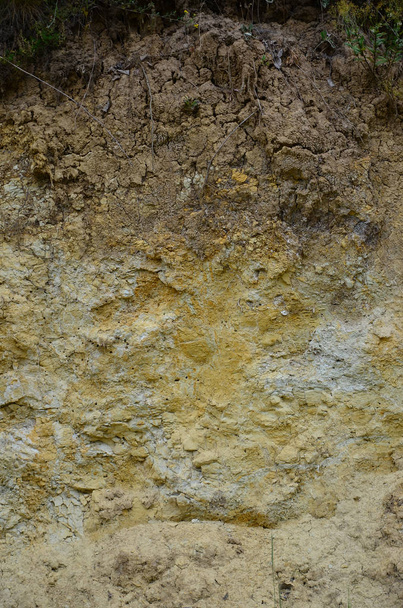 Textura de una pared de arena sólida amarilla y marrón en una cantera arenosa
 - Foto, imagen