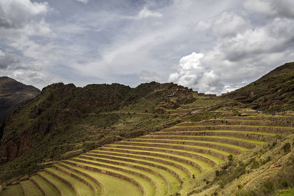 Maatalouden terassit Sacred Valley Pisac, Peru
 - Valokuva, kuva