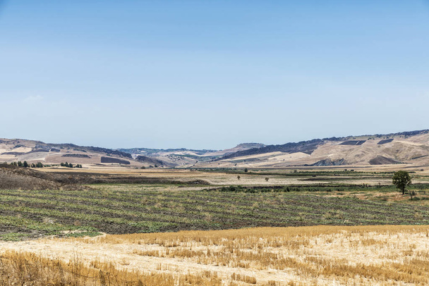 Dryland crop fields after harvest in Sicily, Italy - Фото, зображення