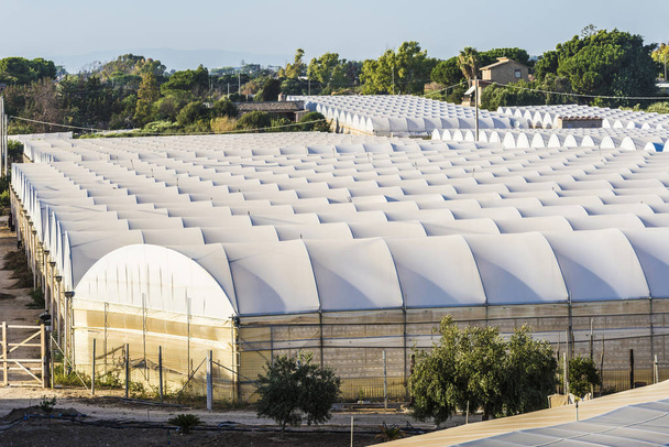 Greenhouses of vegetables in Sicily, Italy - Photo, Image