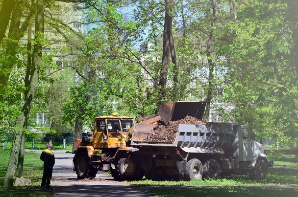 El equipo de mejora de la ciudad retira las hojas caídas en el parque con una excavadora y un camión. Trabajos estacionales regulares para mejorar los lugares públicos de recreación
 - Foto, imagen