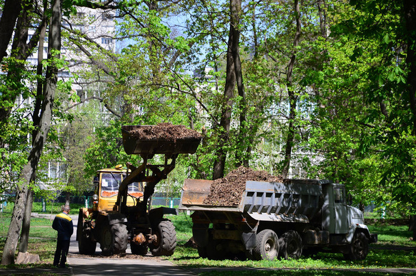 El equipo de mejora de la ciudad retira las hojas caídas en el parque con una excavadora y un camión. Trabajos estacionales regulares para mejorar los lugares públicos de recreación
 - Foto, Imagen