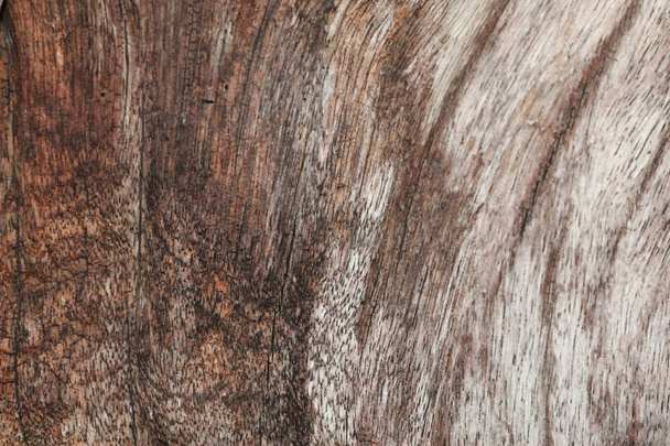 prawdziwy biały i brązowy kolor natura drewna tekstura tło - Zdjęcie, obraz