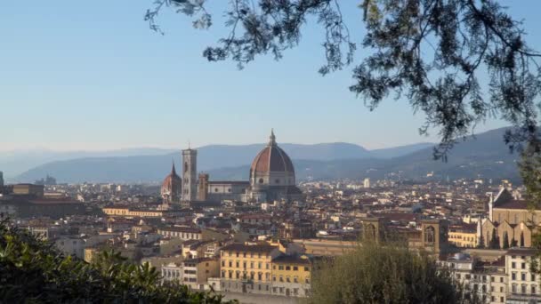 Zicht op het centrum van Florence. Uitzicht vanaf Michelangelo plaza - Video