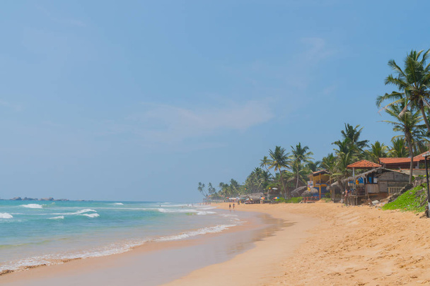 Palm trees on the shore of the Indian Ocean on the beach in Hikkaduwa, Sri Lanka. - Foto, afbeelding