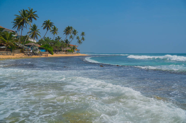 Palm trees on the shore of the Indian Ocean on the beach in Hikkaduwa, Sri Lanka. - Фото, изображение