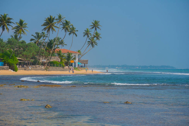 Palm trees on the shore of the Indian Ocean on the beach in Hikkaduwa, Sri Lanka. - Photo, Image