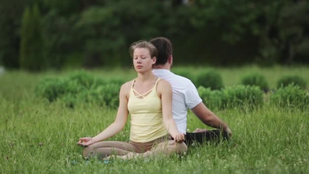 男と女は、ブリスで瞑想します。緑の芝生の公園で若いヨガ講師の練習。成功した若い人々 アクロはヨガの練習を行う. - 映像、動画