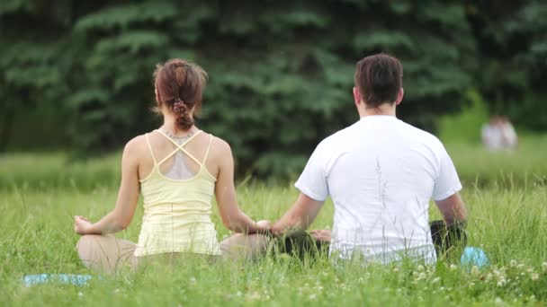 男と女は、ブリスで瞑想します。緑の芝生の公園で若いヨガ講師の練習。後ろから見てください。. - 映像、動画