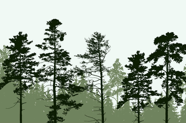 Picos de árboles de bosque de coníferas bajo cielo despejado
 - Vector, Imagen