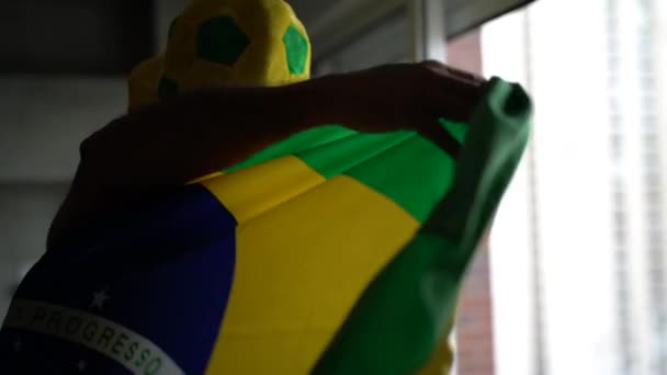 Father and Son Celebrating Brazil Victory - Materiał filmowy, wideo