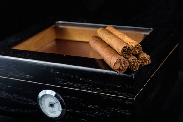 Sigaren in een humidor tegen een zwarte achtergrond - Foto, afbeelding
